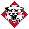 Davidson Wildcats